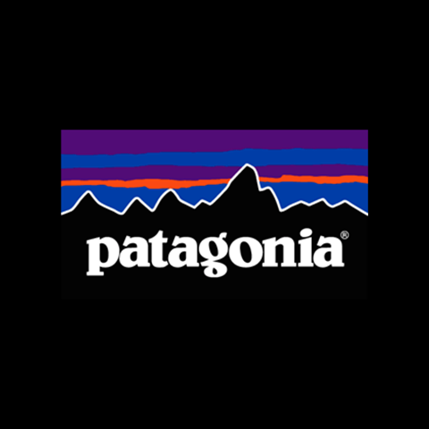 Patagonia Bag/Backpacks