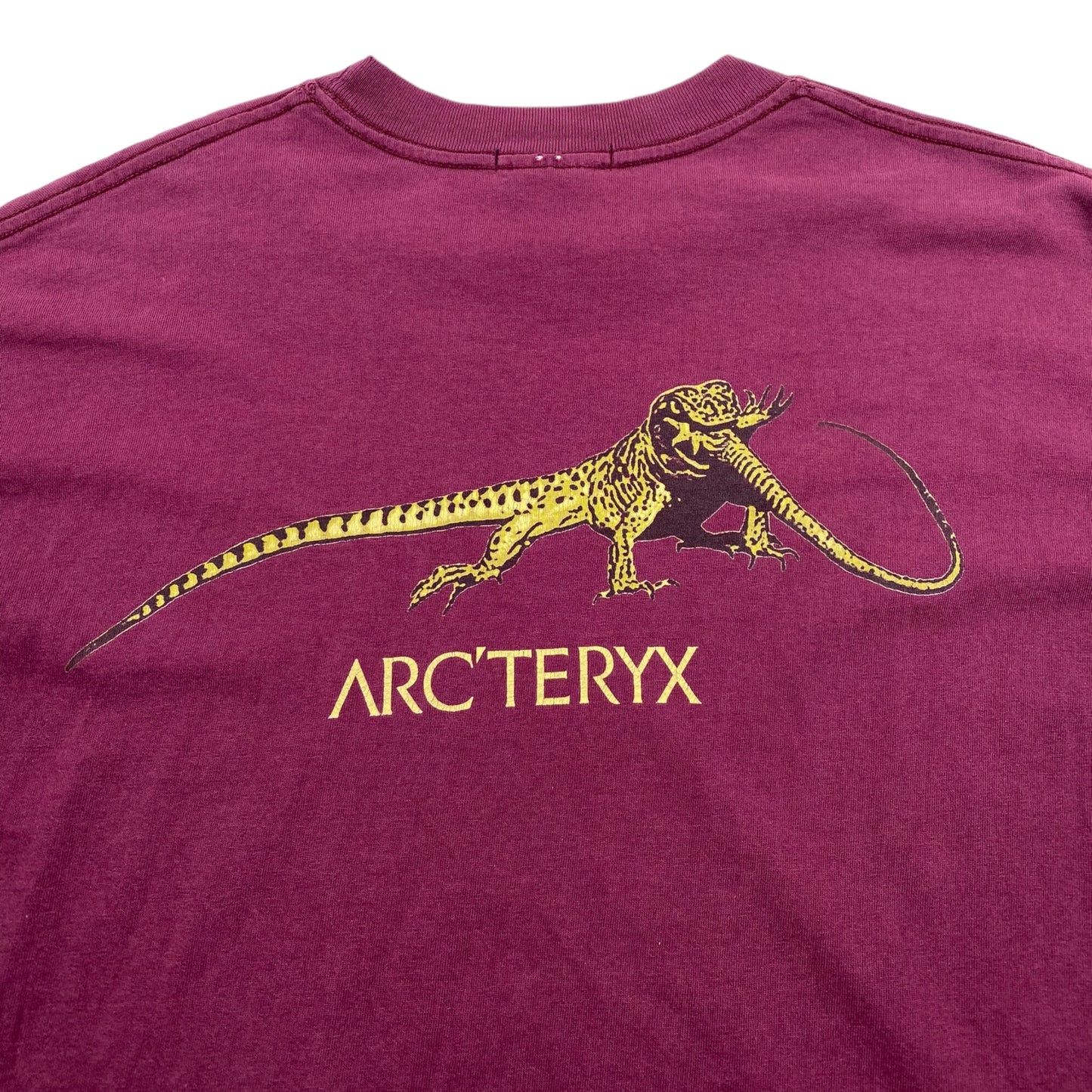 Arcteryx Vintage Lizards Print T-shirt 90‘s